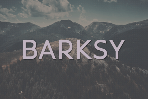 Barksy: A Modern Sans Serif Font for Editorial Design