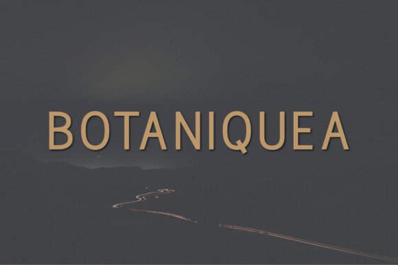 Botaniquea: A Modern Sans Serif Font for Clear Campaign Messaging
