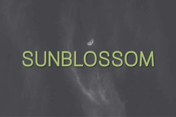 How Sunblossom Transformed My Brand’s Visual Identity