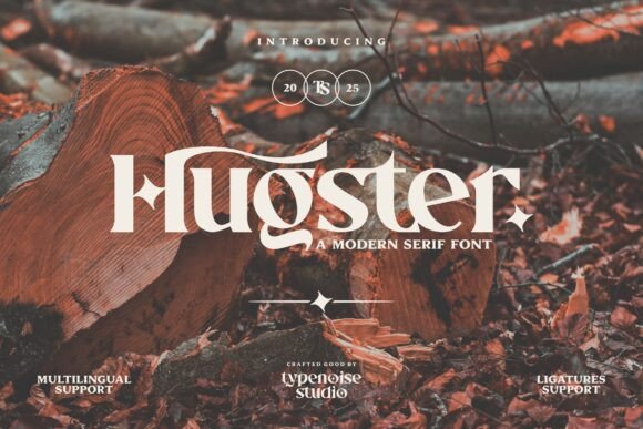 Hugster Font Review: A Modern Serif for Bold Brand Identity