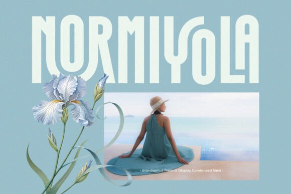 Normiyola: The Display Typeface That Makes Campaigns Stand Out