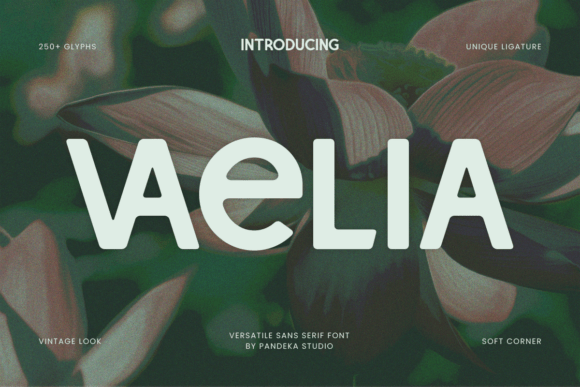 Vaelia: The Bold Display Typeface for Modern Web Design